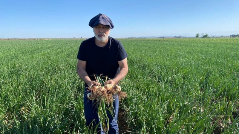 El producto agrícola mendocinos que se posiciona en el mercado de Europa y de Estados Unidos